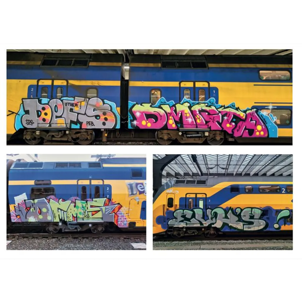 BAMN 6