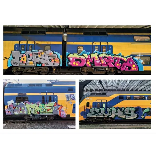 BAMN 6