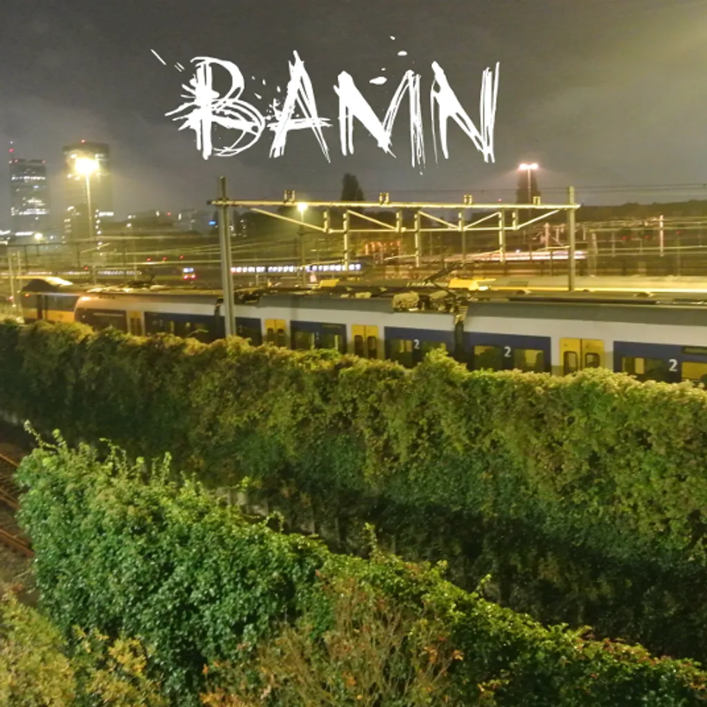 BAMN 2
