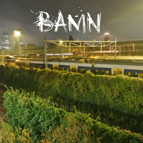 BAMN 2