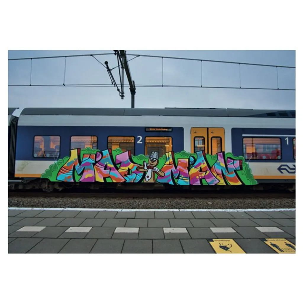 BAMN 6