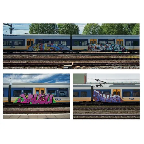 BAMN 6