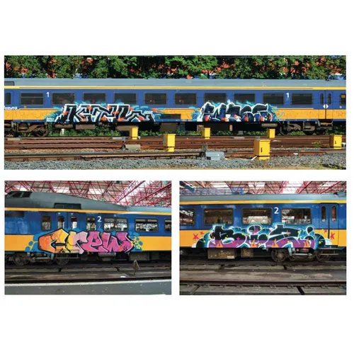 BAMN 7